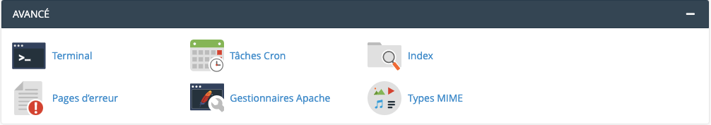 o2switch cpanel section avancé